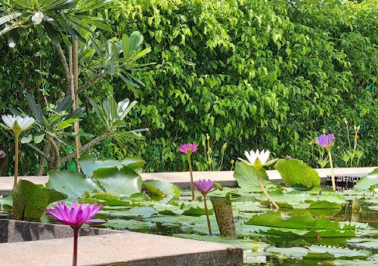 Oceanami Resort Sea View Long Hai Zewnętrze zdjęcie