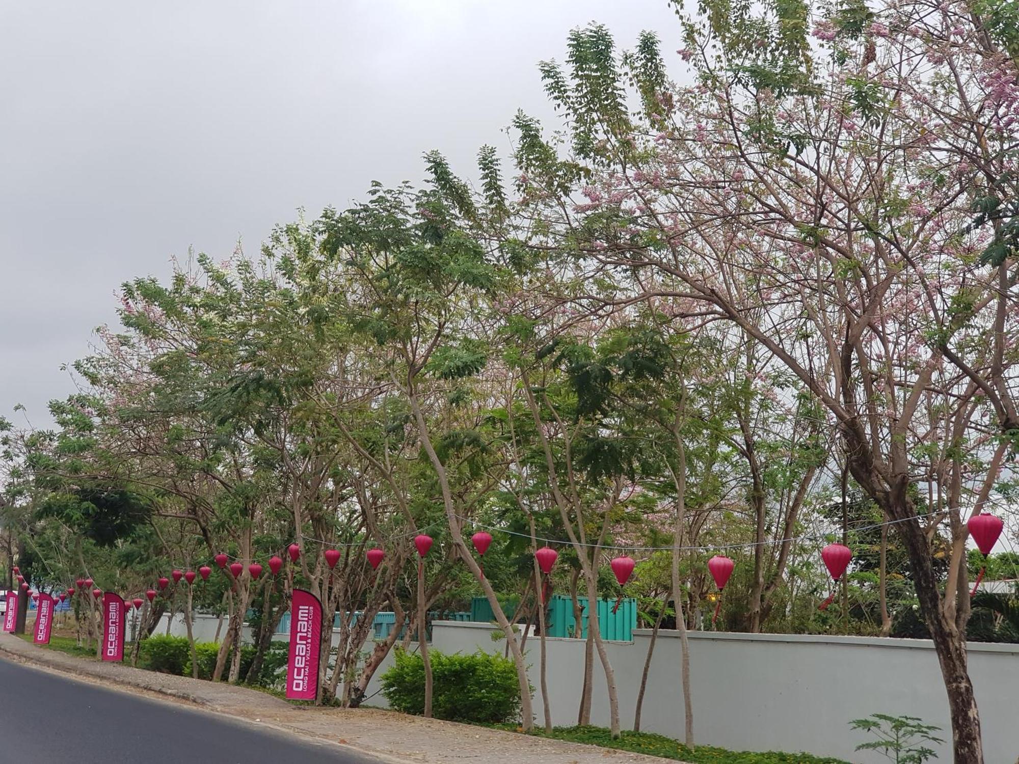 Oceanami Resort Sea View Long Hai Zewnętrze zdjęcie