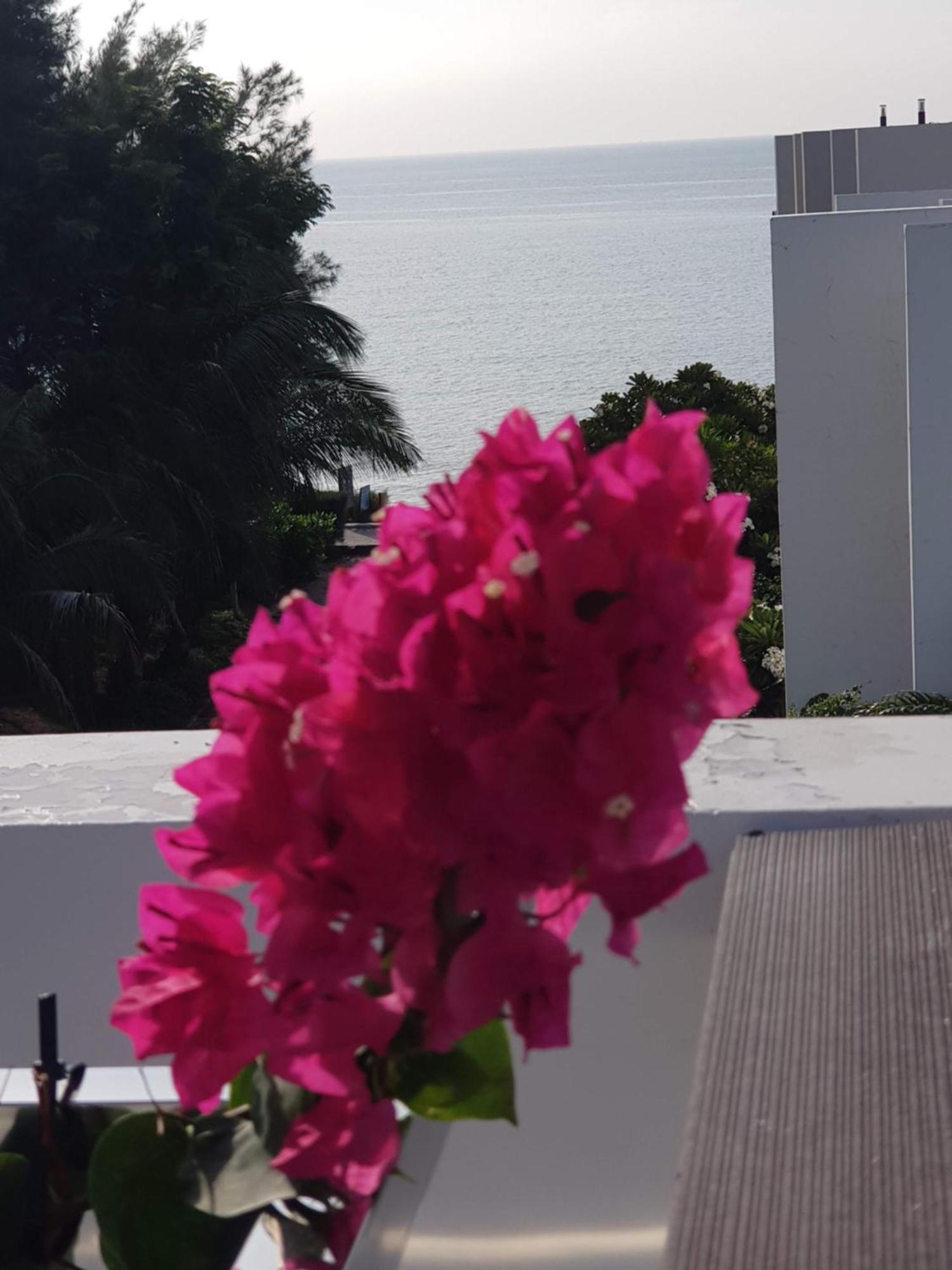 Oceanami Resort Sea View Long Hai Zewnętrze zdjęcie