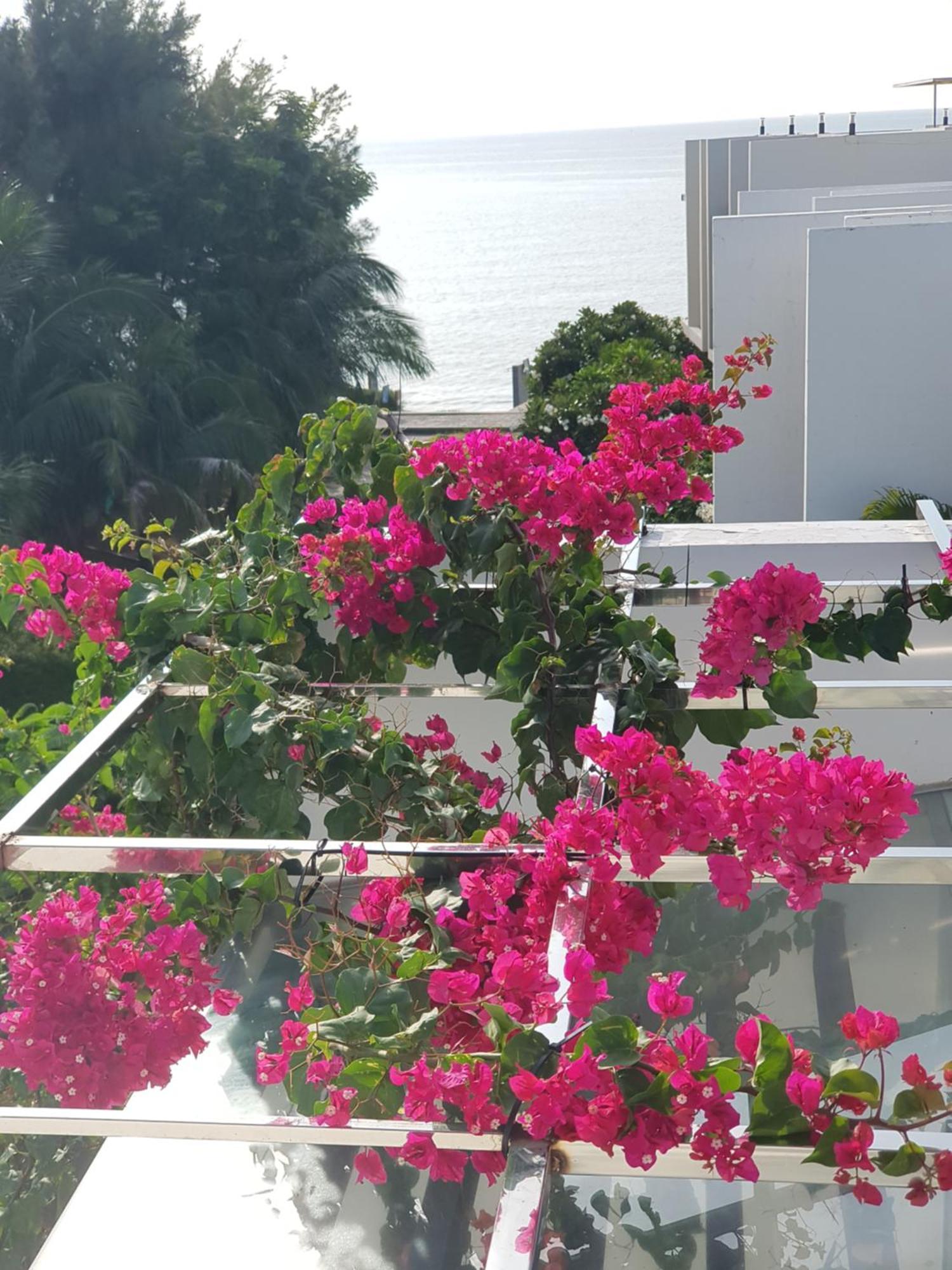 Oceanami Resort Sea View Long Hai Zewnętrze zdjęcie